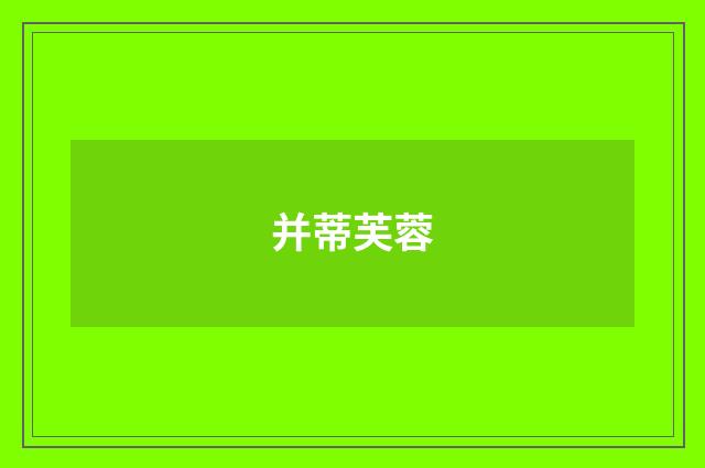 并蒂芙蓉