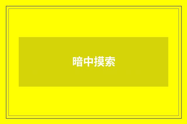 暗中摸索