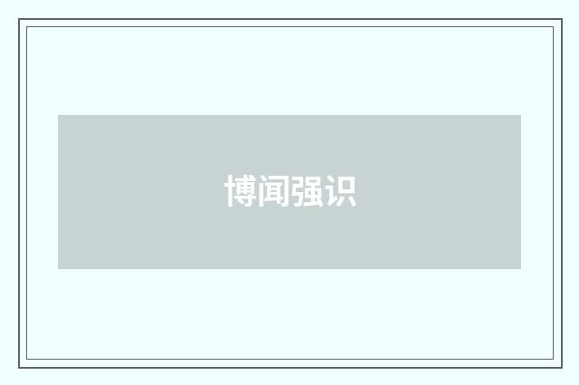 博闻强识