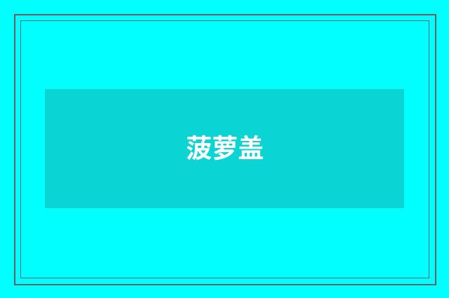 菠萝盖