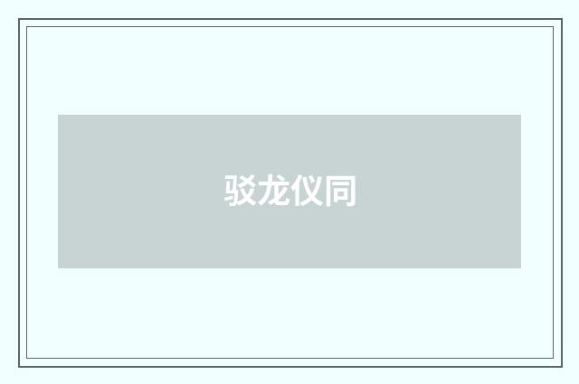 驳龙仪同