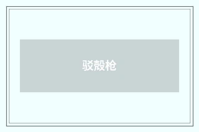 驳殻枪