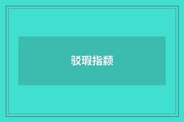 驳瑕指颣