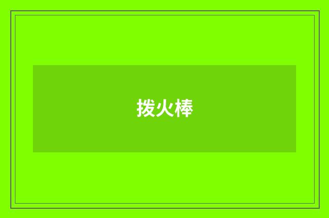 拨火棒