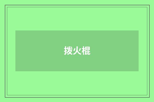 拨火棍