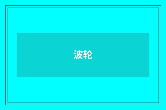 波轮
