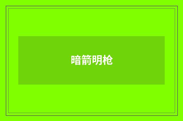 暗箭明枪