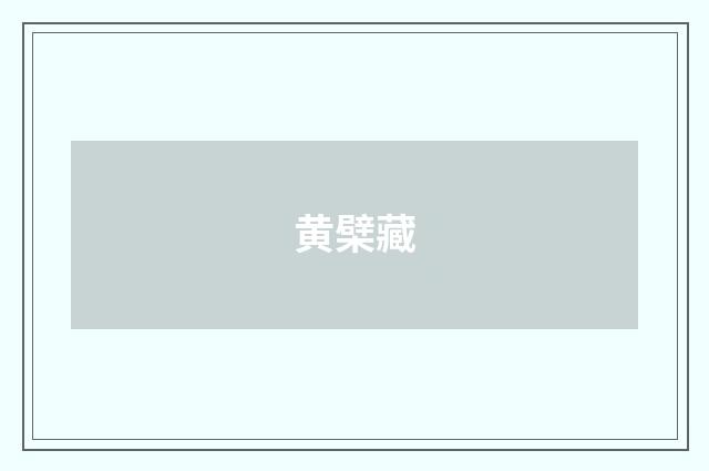 黄檗藏