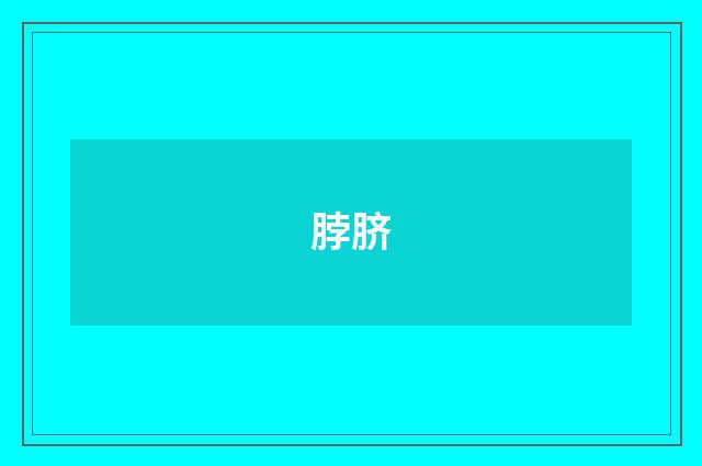 脖脐