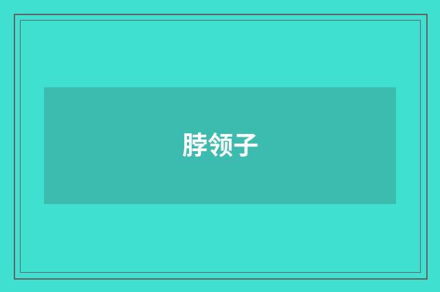 脖领子