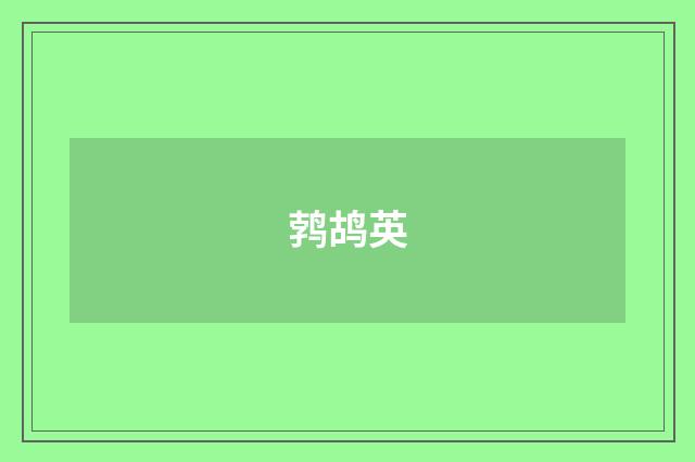 鹁鸪英