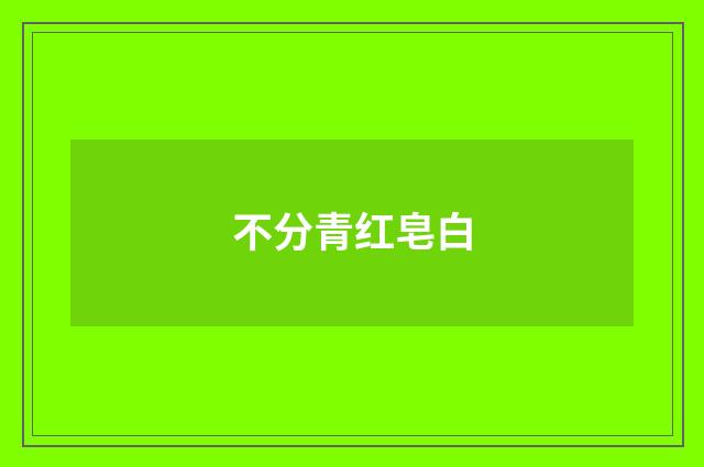 不分青红皂白