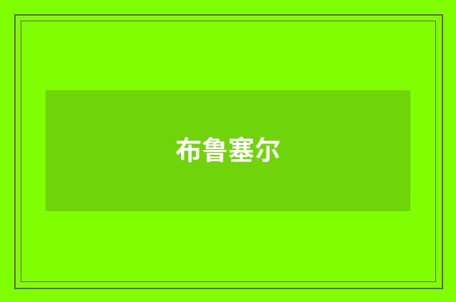 布鲁塞尔