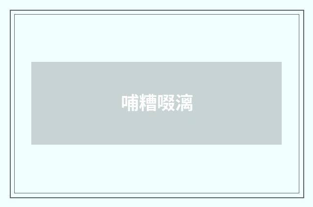 哺糟啜漓