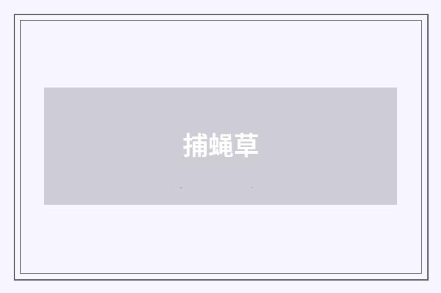 捕蝇草