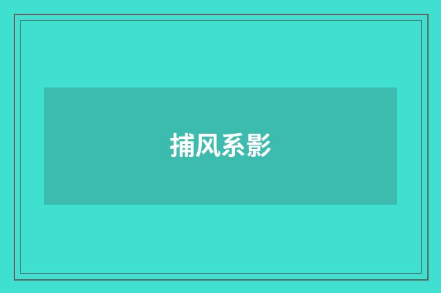 捕风系影