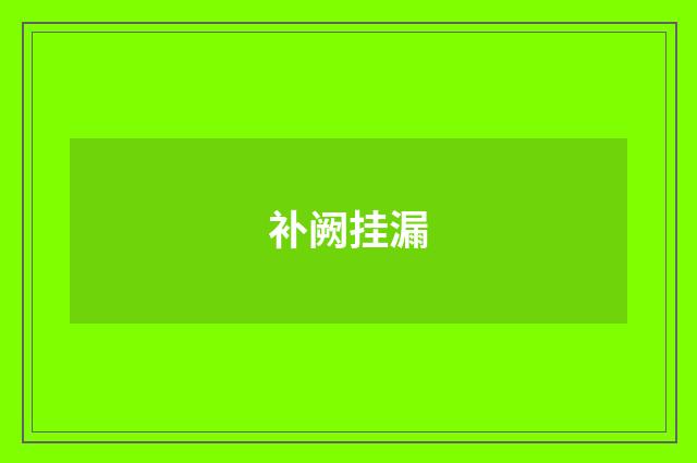 补阙挂漏