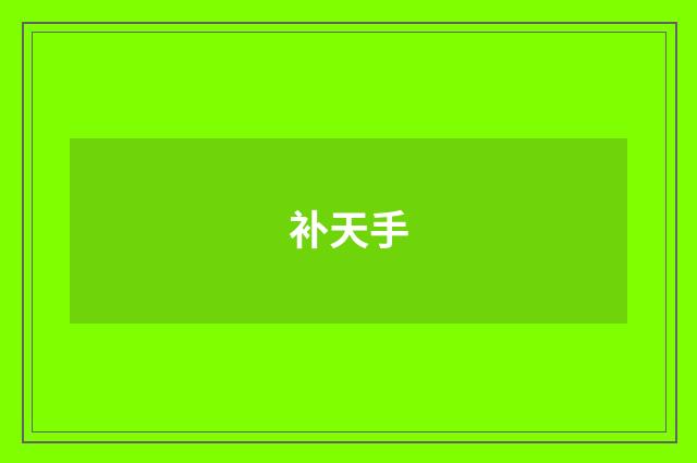 补天手