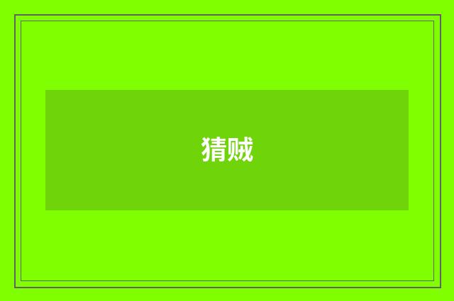 猜贼