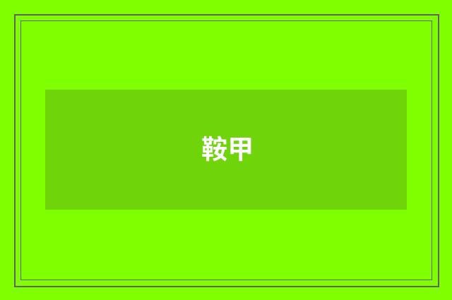 鞍甲