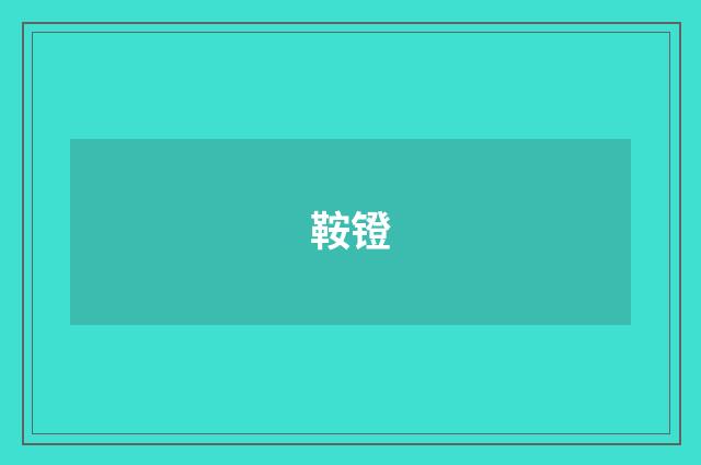 鞍镫