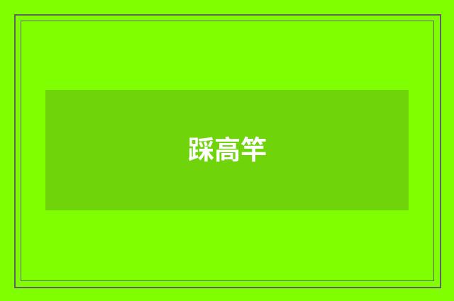 踩高竿