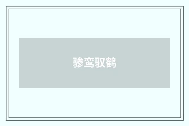 骖鸾驭鹤