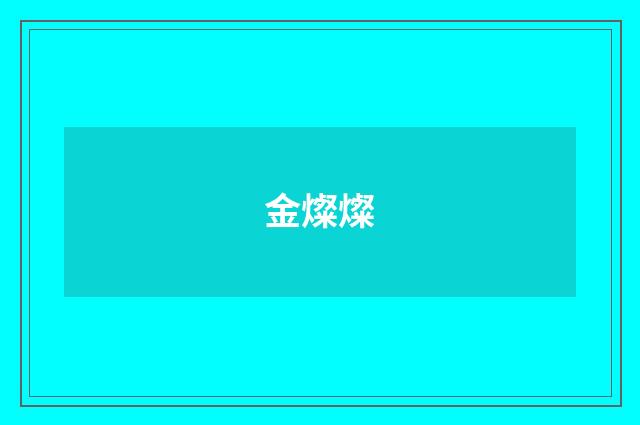 金燦燦