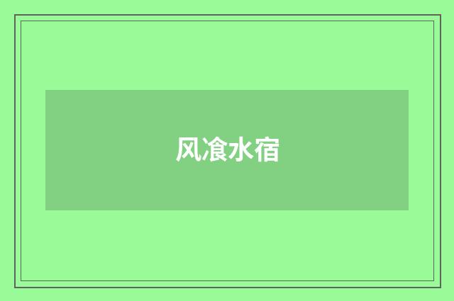风飡水宿