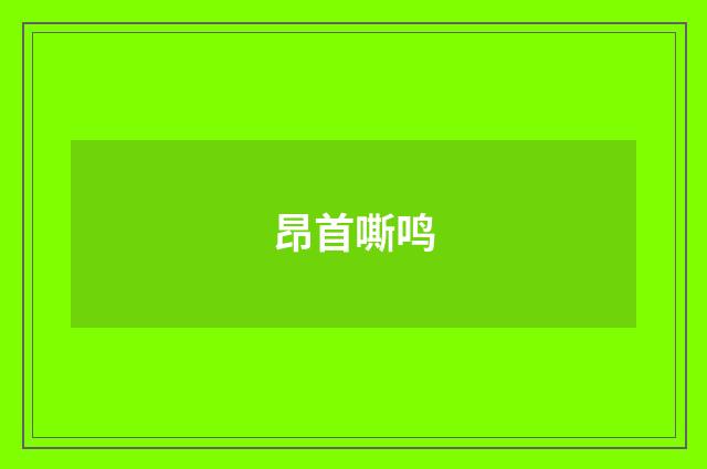 昂首嘶鸣