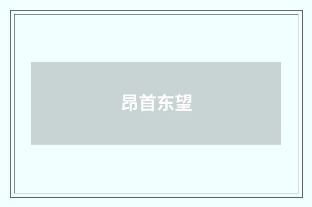 昂首东望