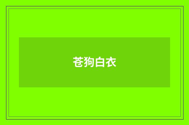苍狗白衣