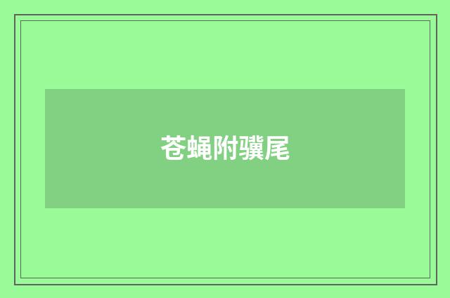 苍蝇附骥尾