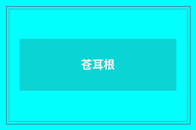 苍耳根