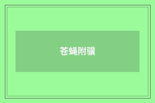 苍蝇附骥