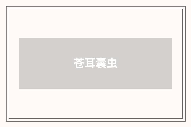 苍耳囊虫