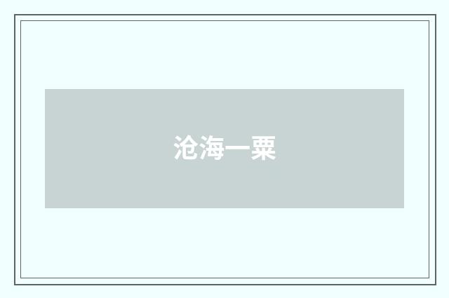 沧海一粟