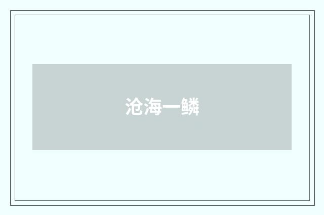 沧海一鳞