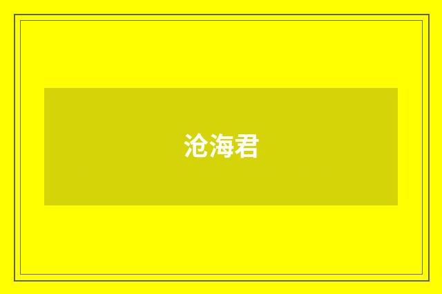沧海君