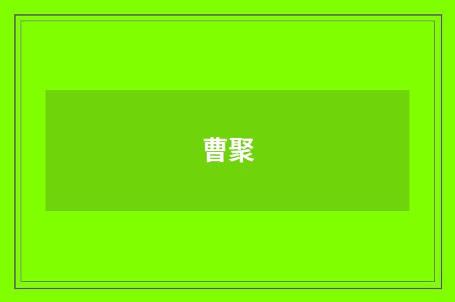曹聚