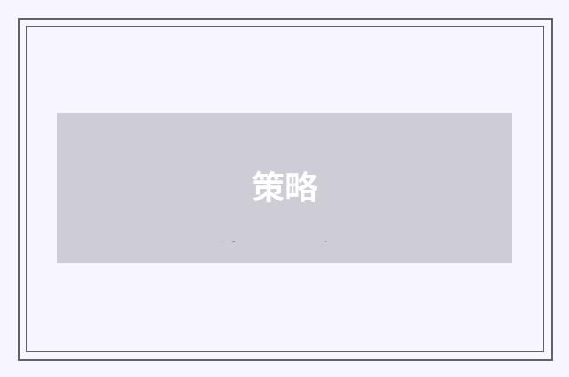 策略