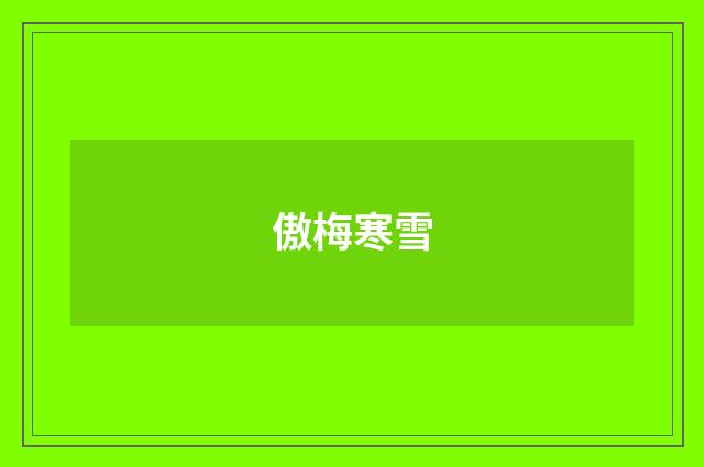傲梅寒雪