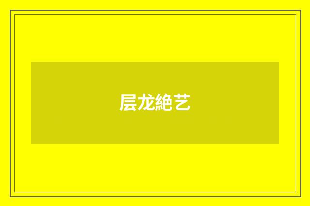 层龙絶艺