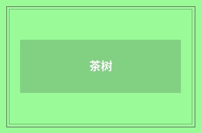 茶树