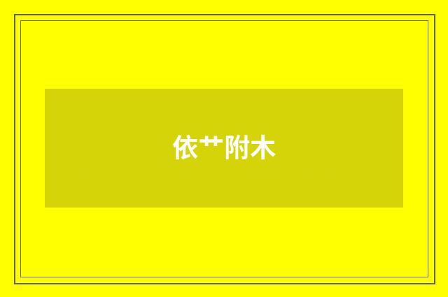依艹附木