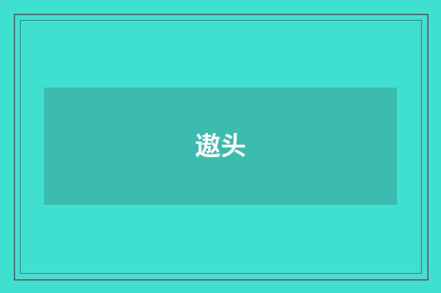 遨头