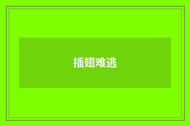 插翅难逃