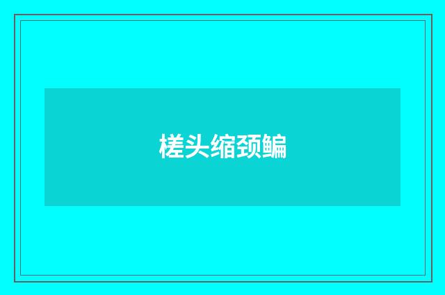 槎头缩颈鳊