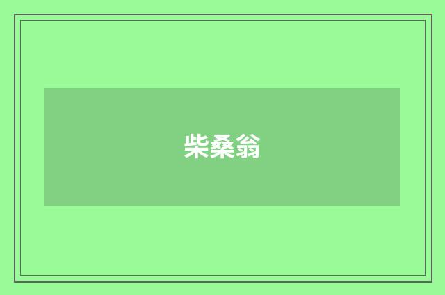 柴桑翁