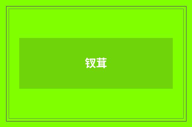 钗茸